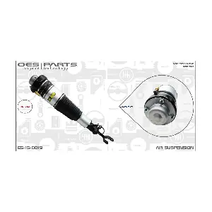 ES-15-0019 OES PARTS