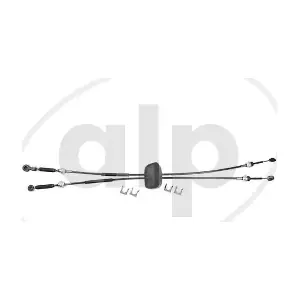 ALP-004555 alp