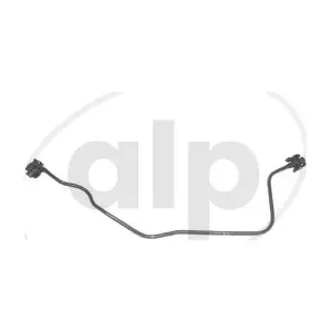 ALP-007568 alp