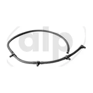 ALP-007476 alp