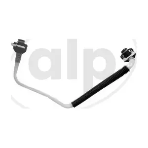 ALP-007509 alp