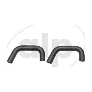 ALP-004351 alp