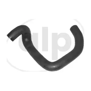 ALP-003877 alp