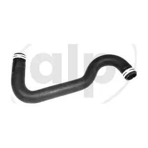 ALP-007574 alp