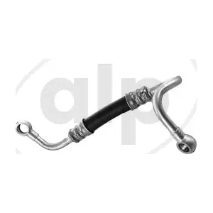 ALP004860 alp
