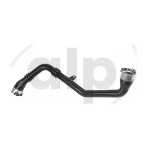 ALP-007888 alp