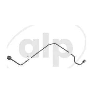 ALP-004846 alp