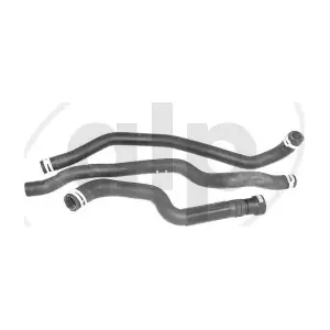 ALP-007565 alp