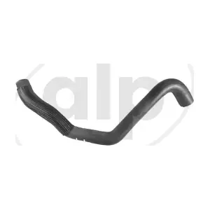 ALP-005589 alp
