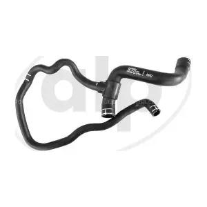 ALP-007175 alp