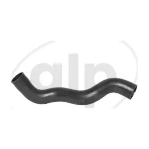 ALP-004503 alp