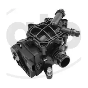 ALP-007905 alp
