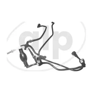 ALP-004656 alp