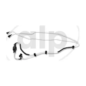 ALP-004652 alp