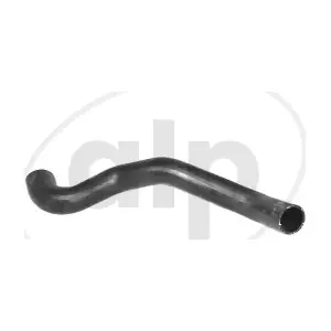 ALP-007588 alp
