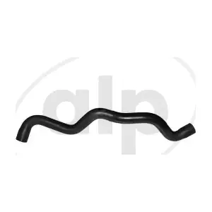 ALP-003953 alp