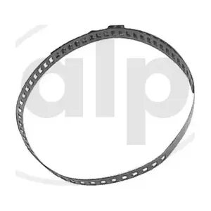 ALP-000053 alp