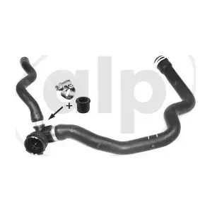 ALP-007586 alp