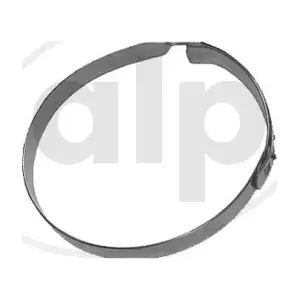 ALP-000051 alp