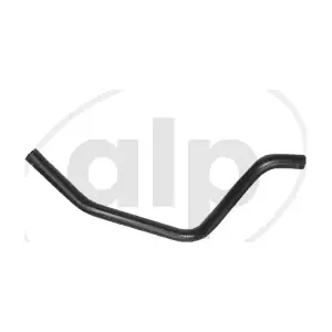 ALP-004071 alp