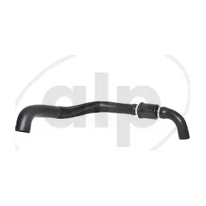 ALP-007641 alp