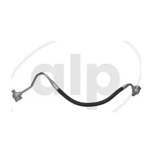 ALP-004856 alp