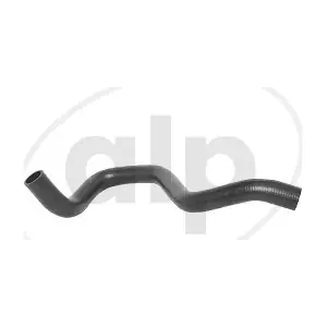 ALP-004144 alp