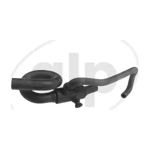 ALP-003787 alp