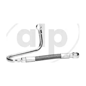 ALP-004876 alp