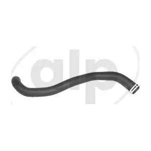 ALP-007571 alp