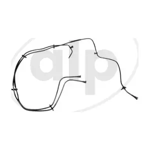 ALP-007502 alp