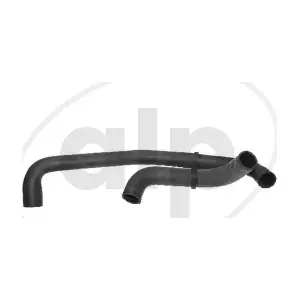 ALP-004078 alp