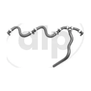ALP-007481 alp