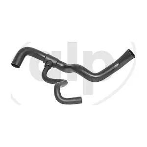 ALP-003776 alp