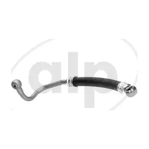 ALP-004899 alp