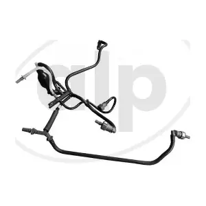 ALP-004655 alp