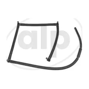 ALP-004667 alp
