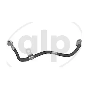 ALP-004828 alp