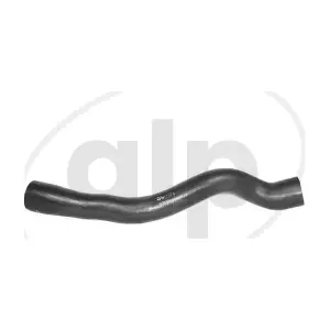ALP-007544 alp