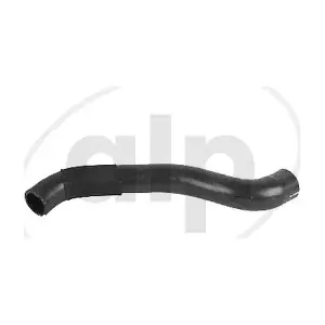 ALP-004501 alp