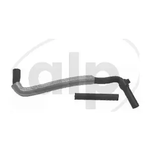 ALP-004053 alp