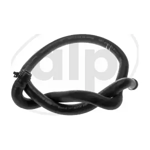 ALP-004285 alp