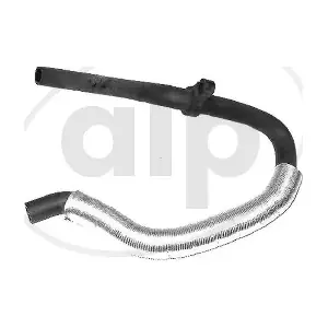 ALP-003853 alp