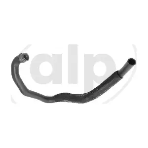 ALP-003855 alp