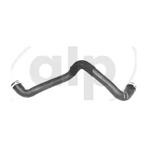ALP-007559 alp