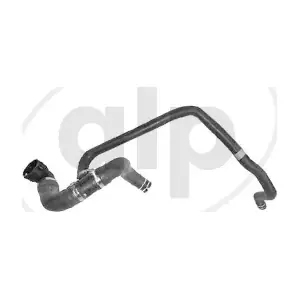 ALP-007777 alp