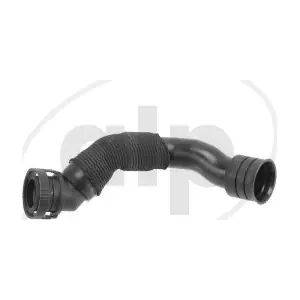 ALP-001543 alp