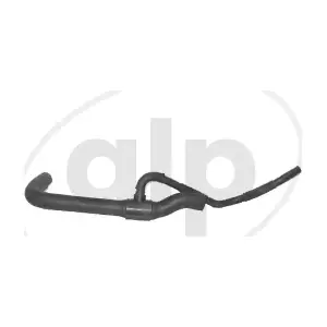 ALP-003807 alp