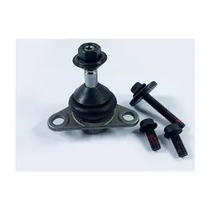2555002 ZF