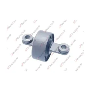 HY-BS146 KAUTEK